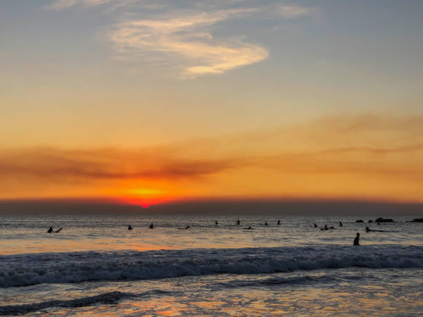 istock Beach sunset in Venice, CA in winter 1299003614