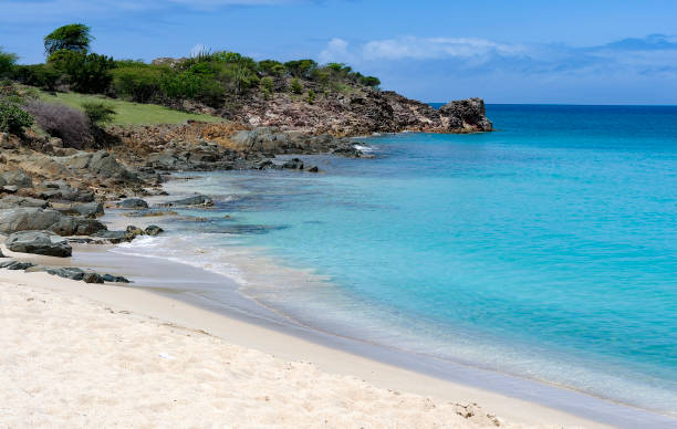 istock Caribbean beach on beautiful sunny day 1299003675