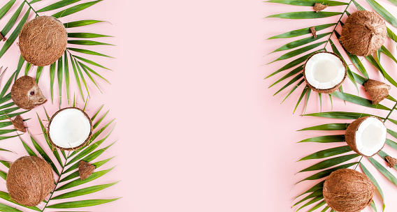 Pattern, frame borders with coconuts and tropical palm leaves on pink background. Tropical abstract background. Flat lay, top view. High quality photo