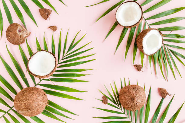 istock Pattern, texture with coconuts and tropical palm leaves on pink background. Tropical abstract background. Flat lay, top view 1299007367