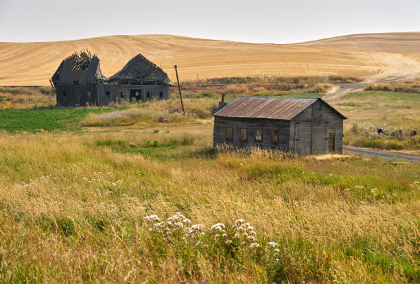 istock Abandoned Farmhouse and Barn Palouse Washington State 1299010448