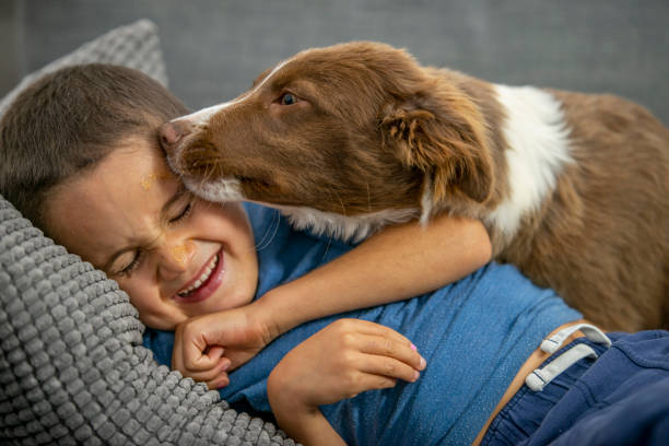 istock Stop the sloppy kisses, it tickles! 1299012662