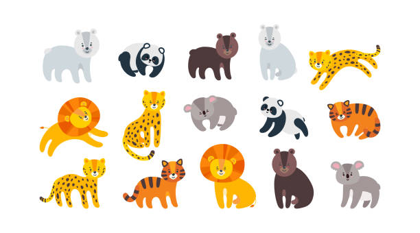 ilustrações, clipart, desenhos animados e ícones de animais do zoológico com leão, leopardo, tigre e ursos. grande coleção de animais selvagens. ilustração vetorial - tiger lion leopard cartoon