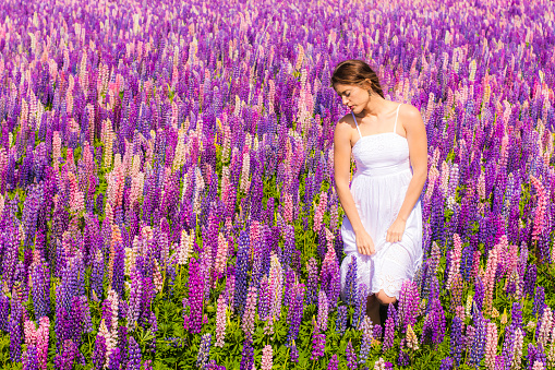 Pretty woman in white dress walking in field of flowers, colourful blossoming lupins in New Zealand.