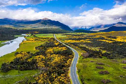 Road to the mountains through flowering meadows and green pastures in picturesque New Zealand