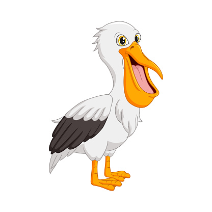 Vector illustration of  Cartoon funny pelican on white background