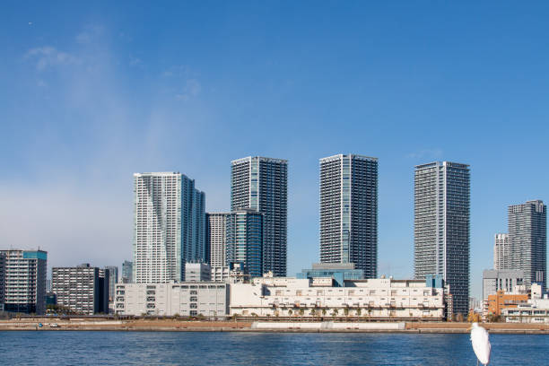 The buildings under the blue sky and the back view of the Great Egret