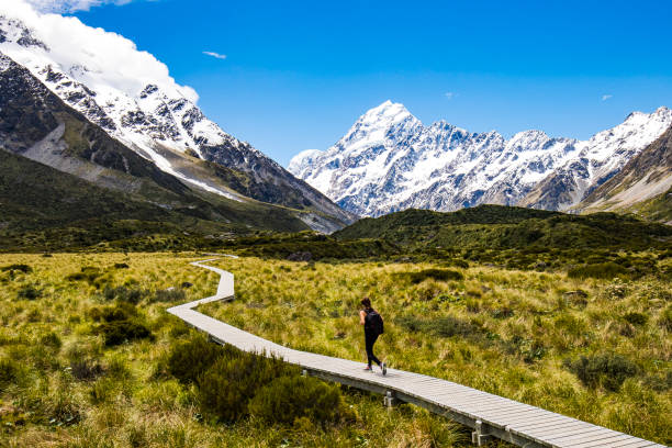 istock Adventurous woman walking path in view of valley and snow capped mountain range 1299016438