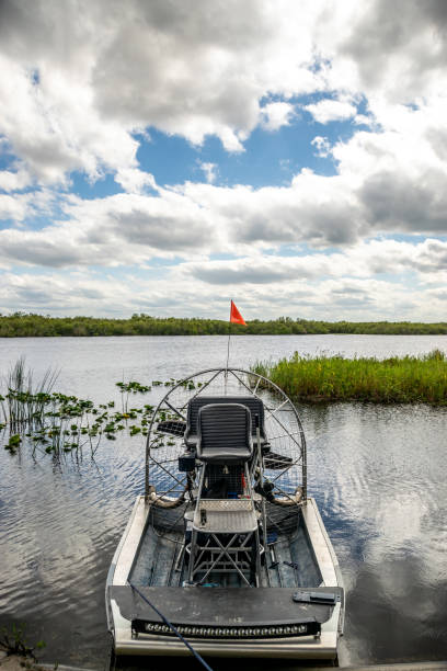 istock Airboat on a swamp. 1299017744