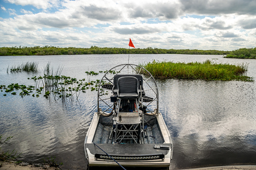 An airboat by a shore of an Alligator swamp in Florida during the springtime.