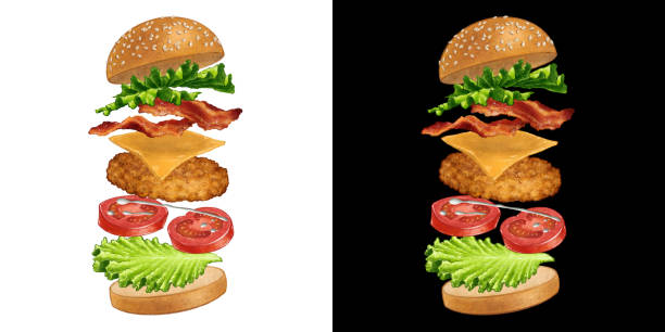 플라잉 성분이 있는 치킨 버거 일러스트레이션 - sandwich ham white background lunch stock illustrations