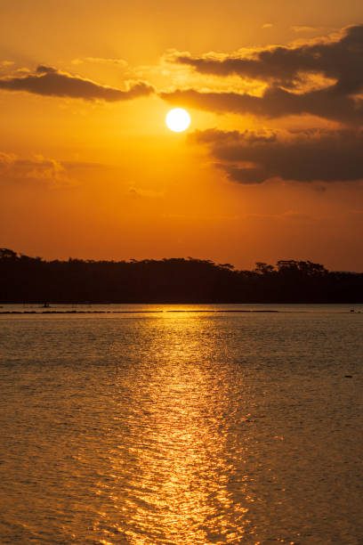 istock Sunset sky for background or sunrise sky and cloud at morning. 1299025852