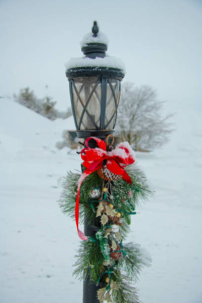 istock Lamp in the snow-Howard County Indiana 1299027282