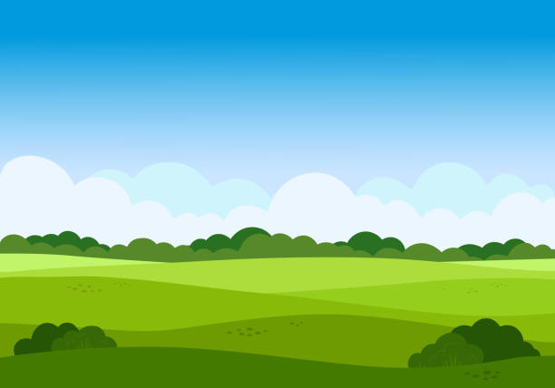 векторный мультяшный луговый пейзаж с травой. голубое небо с белыми облаками. плоский ландшафт долины. пустое зеленое поле с деревьями в со� - glade stock illustrations