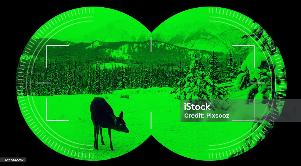 Visión Nocturna Visión Binocular Mira Ciervos En Verde Fondo De Montaña De  Nieve Foto de stock y más banco de imágenes de Gafas de visión nocturna -  iStock