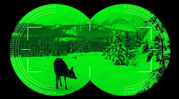 Night vision binocular scope view deer in green snow mountain background Night vision view with binocular scope in green of deer in the snow with dark mountain background estate worker stock pictures, royalty-free photos & images