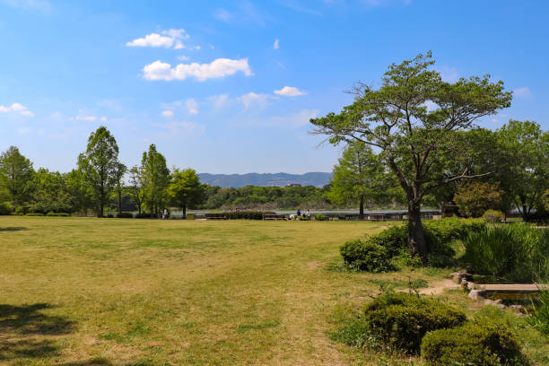 istock Grass area in Koyaike Park on sunny day 1299033096
