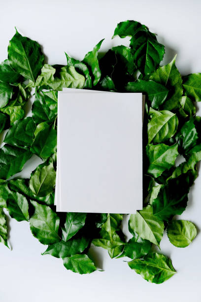 istock a frame made of green leave 1299033345