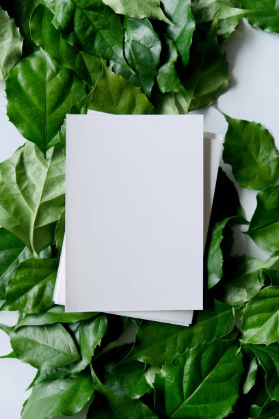 istock a frame made of green leave 1299033346