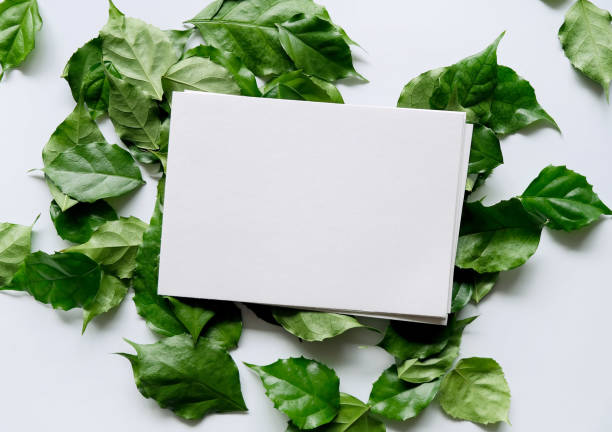 istock a frame made of green leave 1299033349
