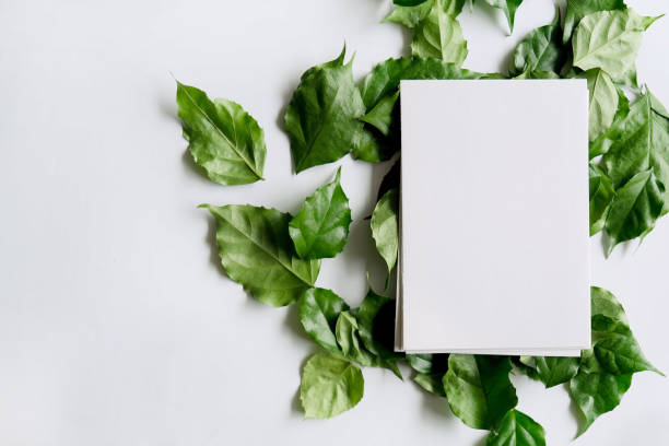 istock a frame made of green leave 1299033350