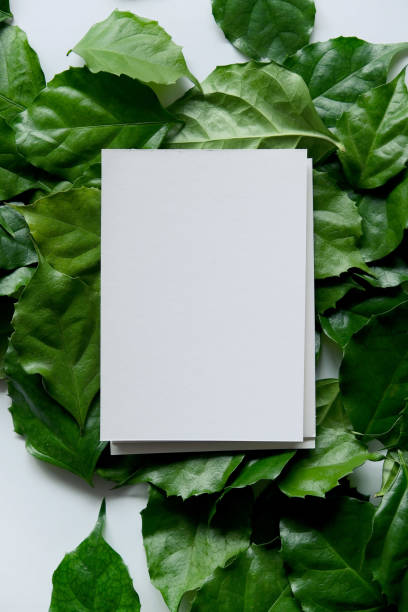 istock a frame made of green leave 1299033353