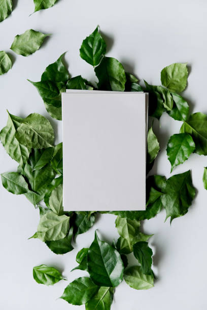 istock a frame made of green leave 1299033359