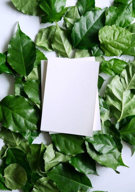 istock a frame made of green leave 1299033360