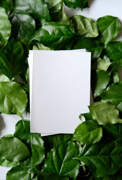 istock a frame made of green leave 1299033362