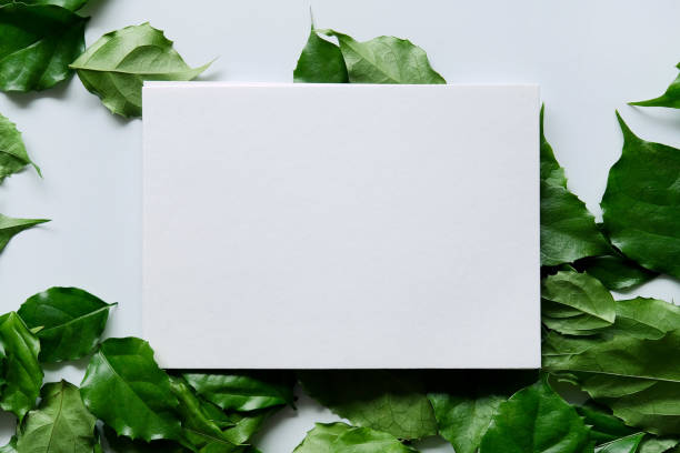 istock a frame made of green leave 1299033364
