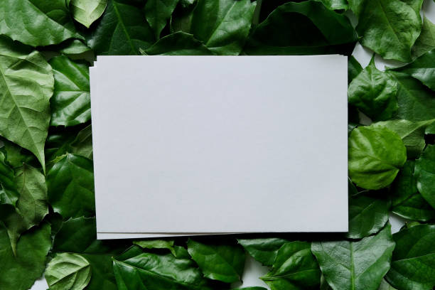 istock a frame made of green leave 1299033372