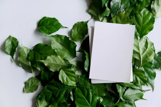 istock a frame made of green leave 1299033379