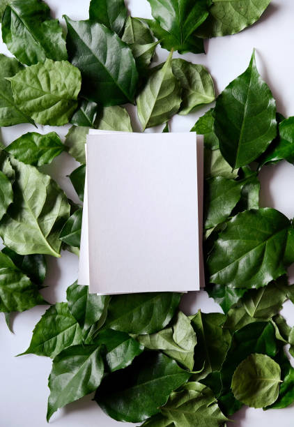 istock a frame made of green leave 1299033381