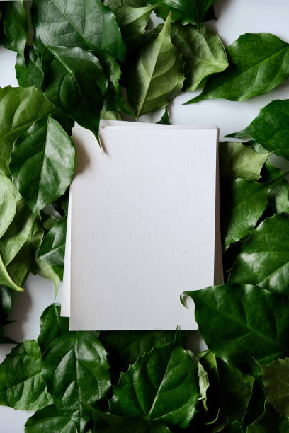 istock a frame made of green leave 1299033386