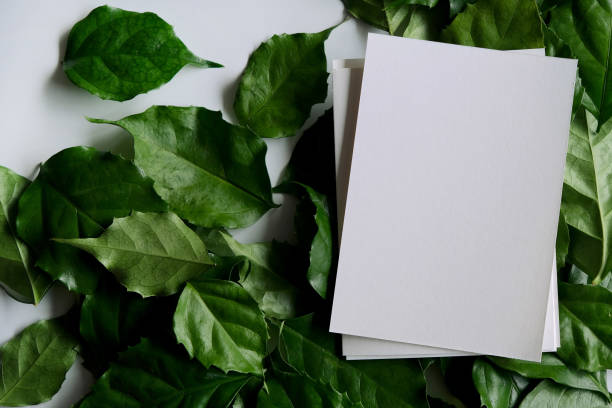 istock a frame made of green leave 1299033392