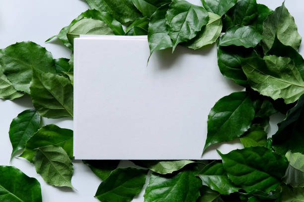 istock a frame made of green leave 1299033393