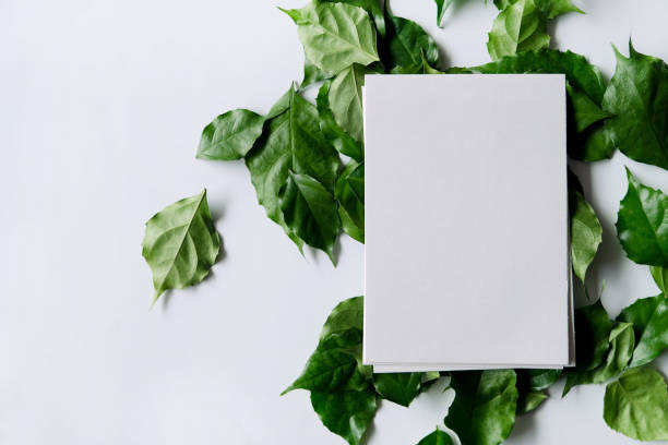 istock a frame made of green leave 1299033395