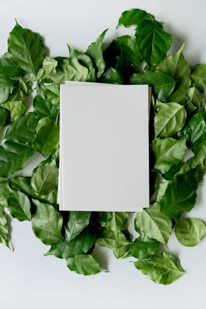 istock a frame made of green leave 1299033399