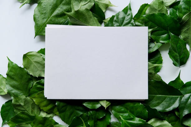 istock a frame made of green leave 1299033403