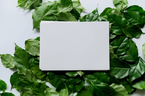 istock a frame made of green leave 1299033404