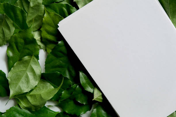 istock a frame made of green leave 1299033414
