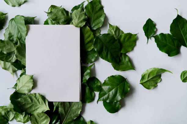 a frame made of green leave