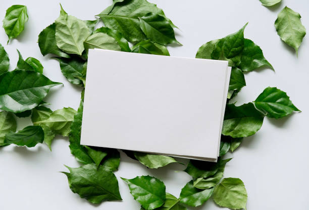 istock a frame made of green leave 1299033924