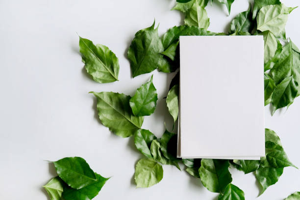 istock a frame made of green leave 1299033935