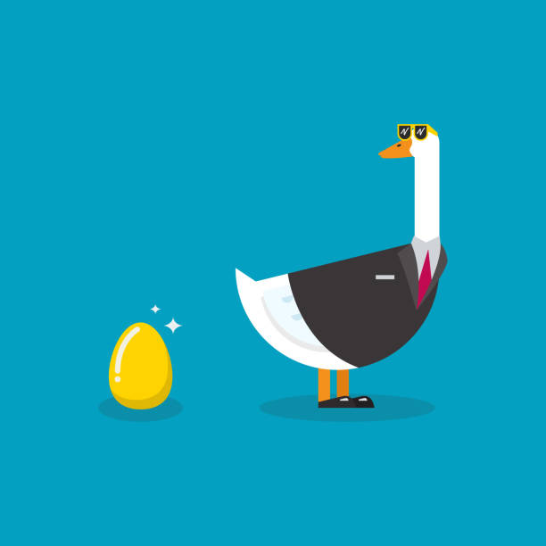 ilustrações, clipart, desenhos animados e ícones de ganso vestindo terno de negócios com ovo de ouro - duck animal egg isolated bird