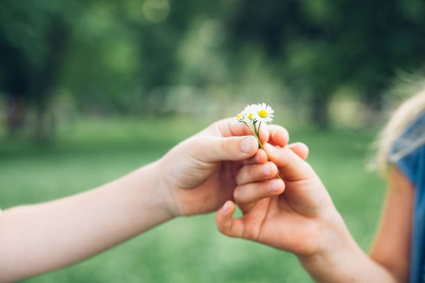 Cute Little Kids Picking Flowers In The Park