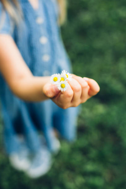 istock Little Girl Holding Spring Flower 1299036449