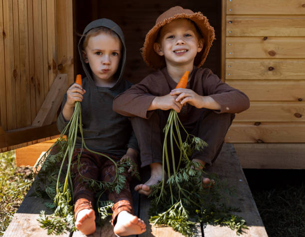 istock Two boys eating carrots near the barn 1299037315