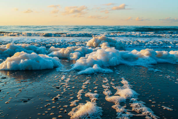 Beautiful sea, sandy beach, seafoam, and clear blue sky on sunset. Wild beach of the Sea of Okhotsk, Sakhalin island, Russia. Natural landscape background with copy space.