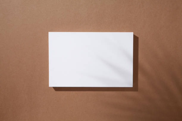 istock White signboard on brown background with palm leaf shadow. 1299040843